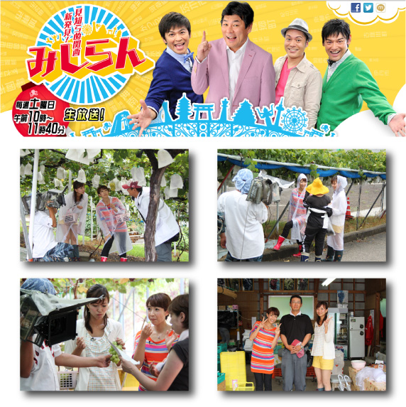 【みしらん】で森園が紹介