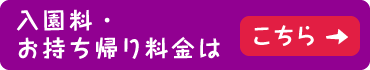 入園料・お持ち帰り料金はこちら