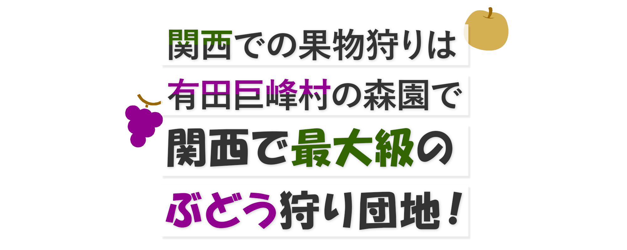 関西での果物狩りは有田巨峰村の森園で 関西で最大級のぶどう狩り団地！