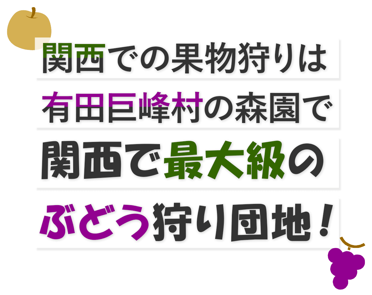 関西での果物狩りは有田巨峰村の森園で 関西で最大級のぶどう狩り団地！